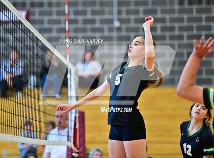 Thumbnail 2 in Golden vs. Bear Creek photogallery.