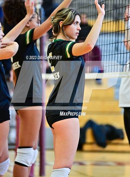 Thumbnail 3 in Golden vs. Bear Creek photogallery.