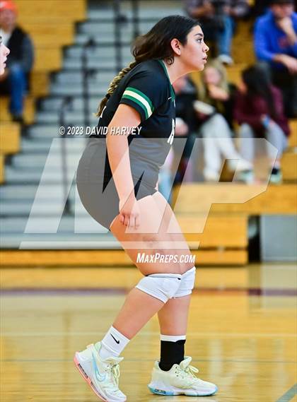 Thumbnail 1 in Golden vs. Bear Creek photogallery.