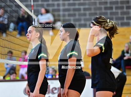 Thumbnail 3 in Golden vs. Bear Creek photogallery.