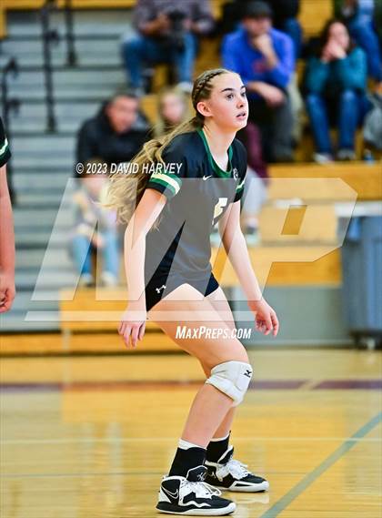 Thumbnail 1 in Golden vs. Bear Creek photogallery.