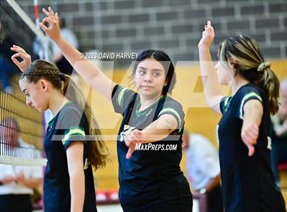 Thumbnail 1 in Golden vs. Bear Creek photogallery.