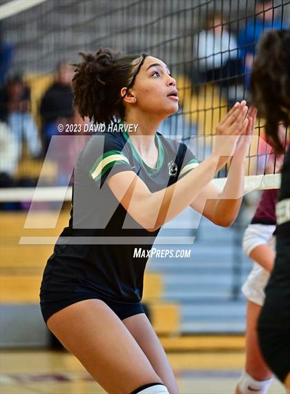 Thumbnail 1 in Golden vs. Bear Creek photogallery.