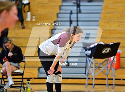 Thumbnail 1 in Golden vs. Bear Creek photogallery.