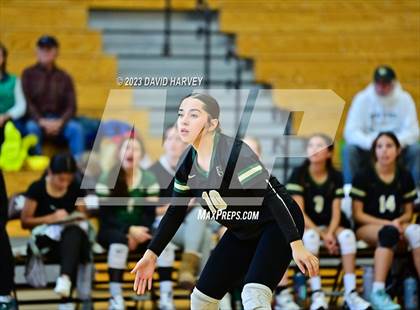 Thumbnail 1 in Golden vs. Bear Creek photogallery.