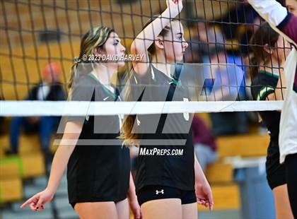 Thumbnail 2 in Golden vs. Bear Creek photogallery.
