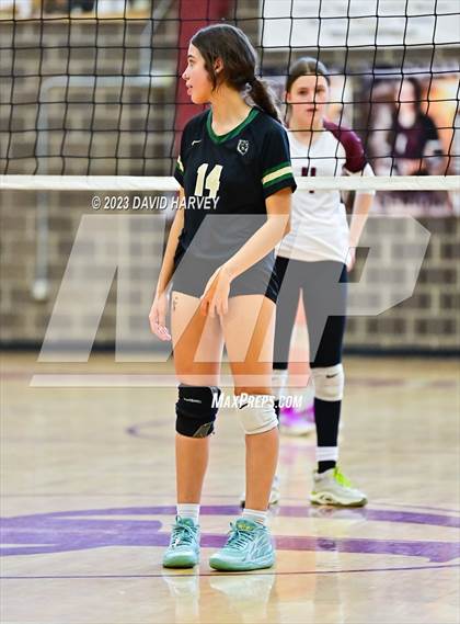Thumbnail 1 in Golden vs. Bear Creek photogallery.