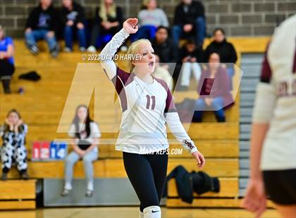 Thumbnail 3 in Golden vs. Bear Creek photogallery.