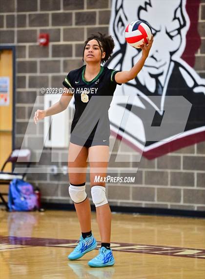 Thumbnail 1 in Golden vs. Bear Creek photogallery.
