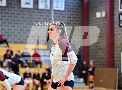 Thumbnail 3 in Golden vs. Bear Creek photogallery.