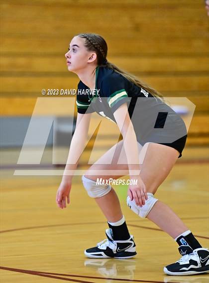 Thumbnail 1 in Golden vs. Bear Creek photogallery.