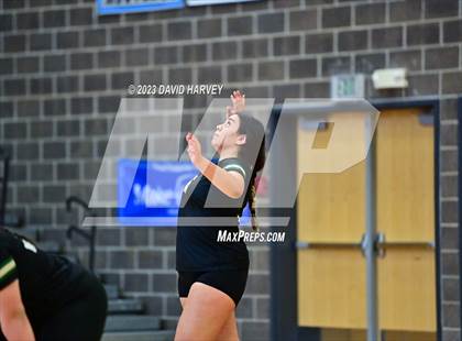 Thumbnail 1 in Golden vs. Bear Creek photogallery.