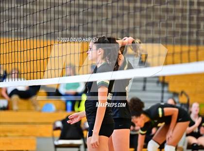 Thumbnail 1 in Golden vs. Bear Creek photogallery.