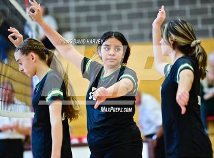 Thumbnail 3 in Golden vs. Bear Creek photogallery.