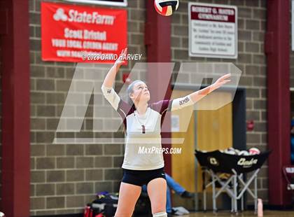 Thumbnail 1 in Golden vs. Bear Creek photogallery.