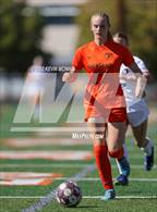 Photo from the gallery "Olympus @ Murray"