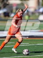 Photo from the gallery "Olympus @ Murray"