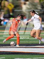 Photo from the gallery "Olympus @ Murray"