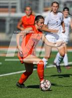 Photo from the gallery "Olympus @ Murray"