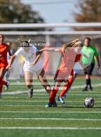 Photo from the gallery "Olympus @ Murray"
