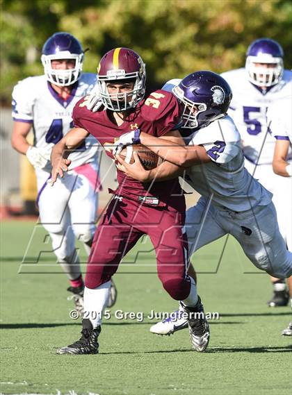 Thumbnail 3 in Petaluma @ Piner (Homecoming) photogallery.