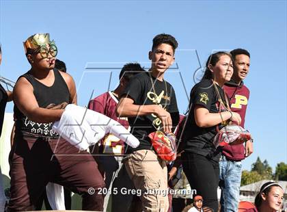 Thumbnail 3 in Petaluma @ Piner (Homecoming) photogallery.