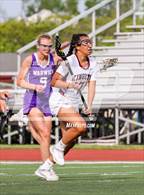 Photo from the gallery "Warwick @ Kingston"