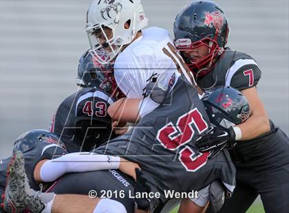 Thumbnail 1 in Palmer @ Chatfield photogallery.