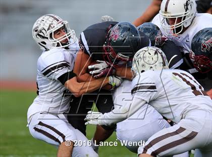 Thumbnail 3 in Palmer @ Chatfield photogallery.