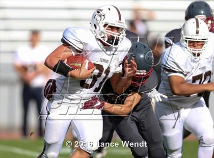 Thumbnail 1 in Palmer @ Chatfield photogallery.
