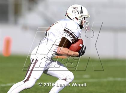 Thumbnail 1 in Palmer @ Chatfield photogallery.