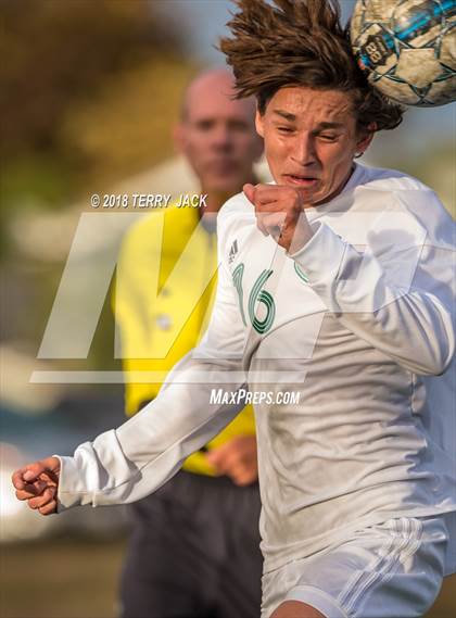 Thumbnail 3 in Edison @ Bell Gardens photogallery.