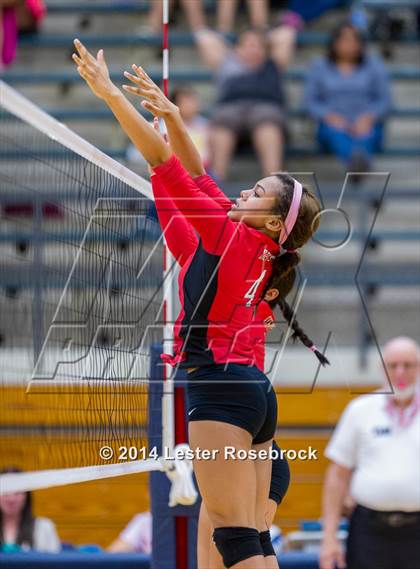 Thumbnail 1 in Stevens vs. Brandeis photogallery.