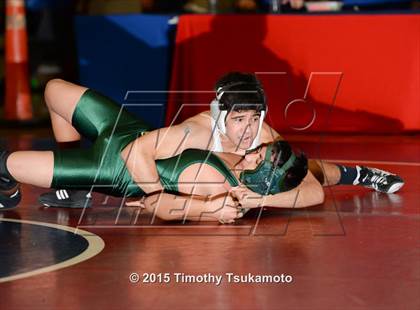 Thumbnail 3 in NIAA Northern Nevada D1 Regional Wrestling Championships (Day 1) photogallery.