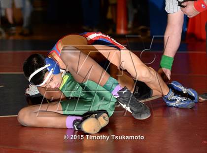 Thumbnail 3 in NIAA Northern Nevada D1 Regional Wrestling Championships (Day 1) photogallery.