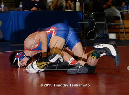 Thumbnail 1 in NIAA Northern Nevada D1 Regional Wrestling Championships (Day 1) photogallery.