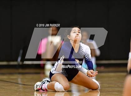 Thumbnail 2 in Stony Point @ Vandegrift photogallery.
