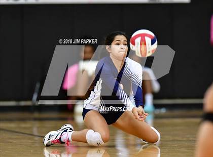 Thumbnail 1 in Stony Point @ Vandegrift photogallery.