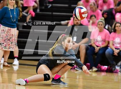 Thumbnail 2 in Stony Point @ Vandegrift photogallery.