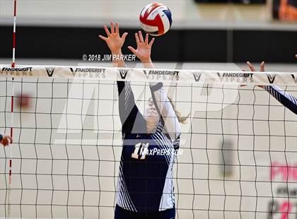 Thumbnail 1 in Stony Point @ Vandegrift photogallery.