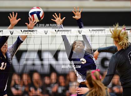 Thumbnail 1 in Stony Point @ Vandegrift photogallery.