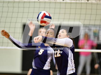 Thumbnail 1 in Stony Point @ Vandegrift photogallery.