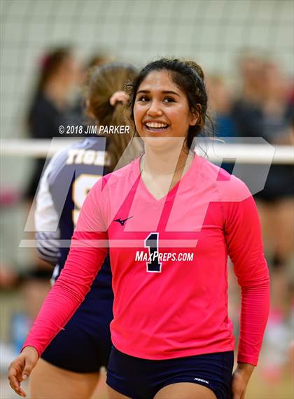 Thumbnail 3 in Stony Point @ Vandegrift photogallery.