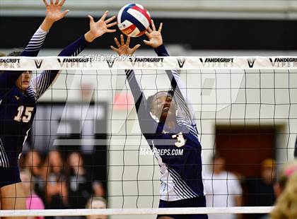 Thumbnail 2 in Stony Point @ Vandegrift photogallery.