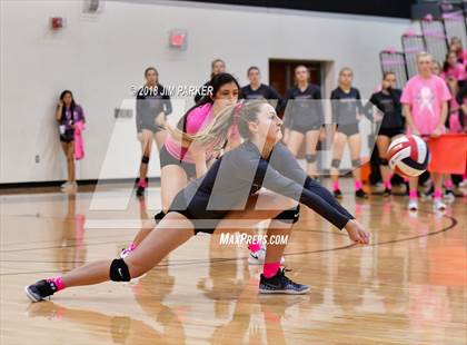 Thumbnail 2 in Stony Point @ Vandegrift photogallery.
