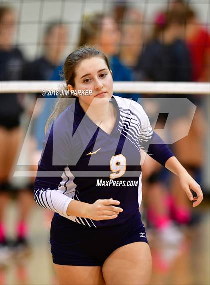 Thumbnail 1 in Stony Point @ Vandegrift photogallery.
