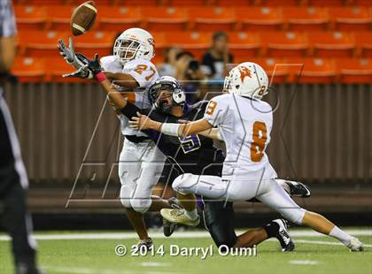 Thumbnail 1 in Pac-Five vs. Damien photogallery.