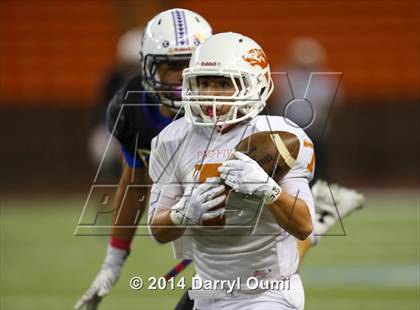 Thumbnail 2 in Pac-Five vs. Damien photogallery.