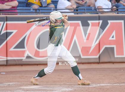 Thumbnail 3 in Canyon del Oro vs Salpointe Catholic (AIA 4A Final) photogallery.