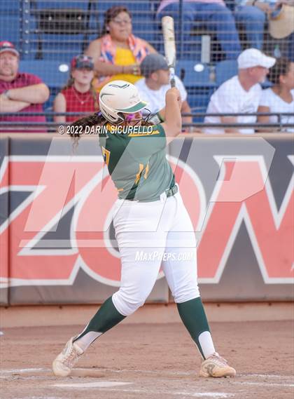 Thumbnail 1 in Canyon del Oro vs Salpointe Catholic (AIA 4A Final) photogallery.